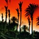 rifat chadirji the palm massacre series 1977 courtesy waddah faris-iraq.jpg